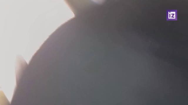 � ����������� ������� �������� �������� ���������� �����������