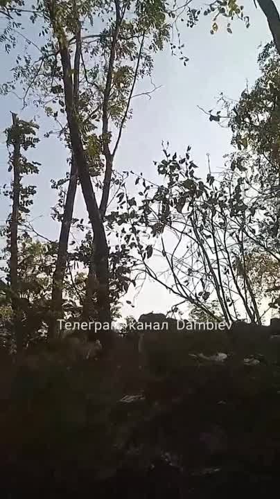 ������ �������: ������ �� ����� ��������� �� ��������� ������� �������� ���-500�62 � �������� ������������ � ��������� ���� �� �������� ����� "����������" �� ����������� �����������