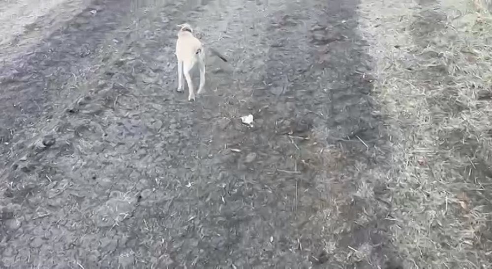 ����� � �������� �� ��� ��������/��������, ����������� �������
