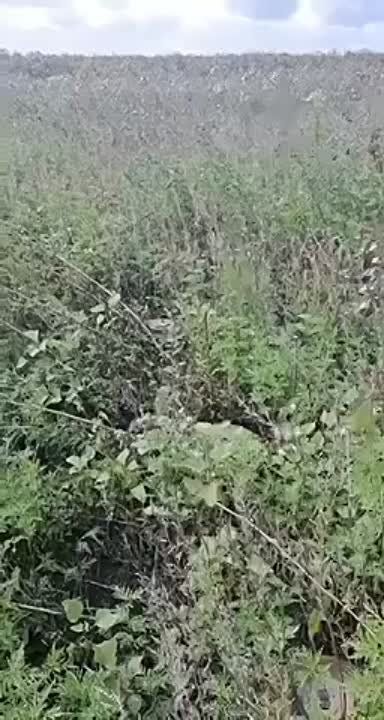 ���������� ������� � ���� �� ��������� ������ ����� �� ����������� �����������