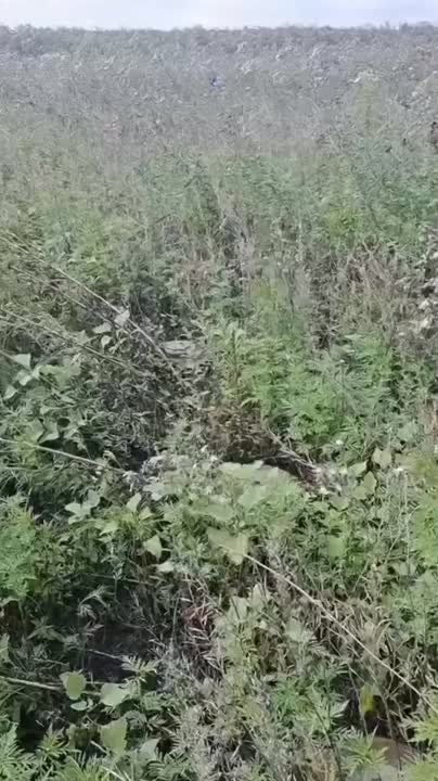 ������� ��� �������� ��������� ������ ����� �� ����������� �����������