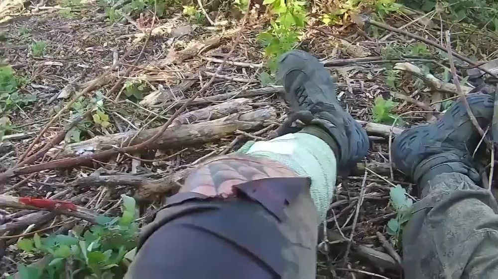 ������� ������ ��� ����� ������ FPV-�����, ��� ������ ���� ������ � ��������, ��� ��� ��������� ��� ������� �����