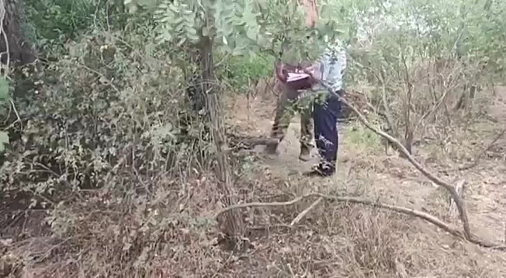 ����� � ������������ ���������� � ���� ��������� � ����������� �������
