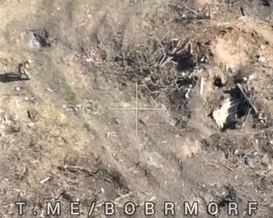 ������� �������� ������ ����������� ������ ��� � ������� FPV-������ �� ����������� �����������