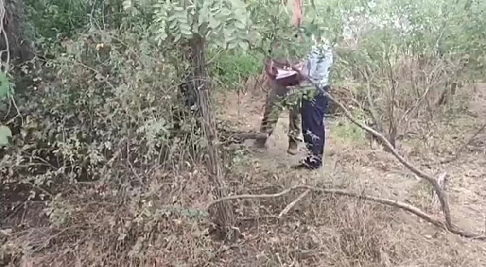 � ���������� � ���� ��������� ����������� ������� ��������� ����� � ���������, ������ � �������������