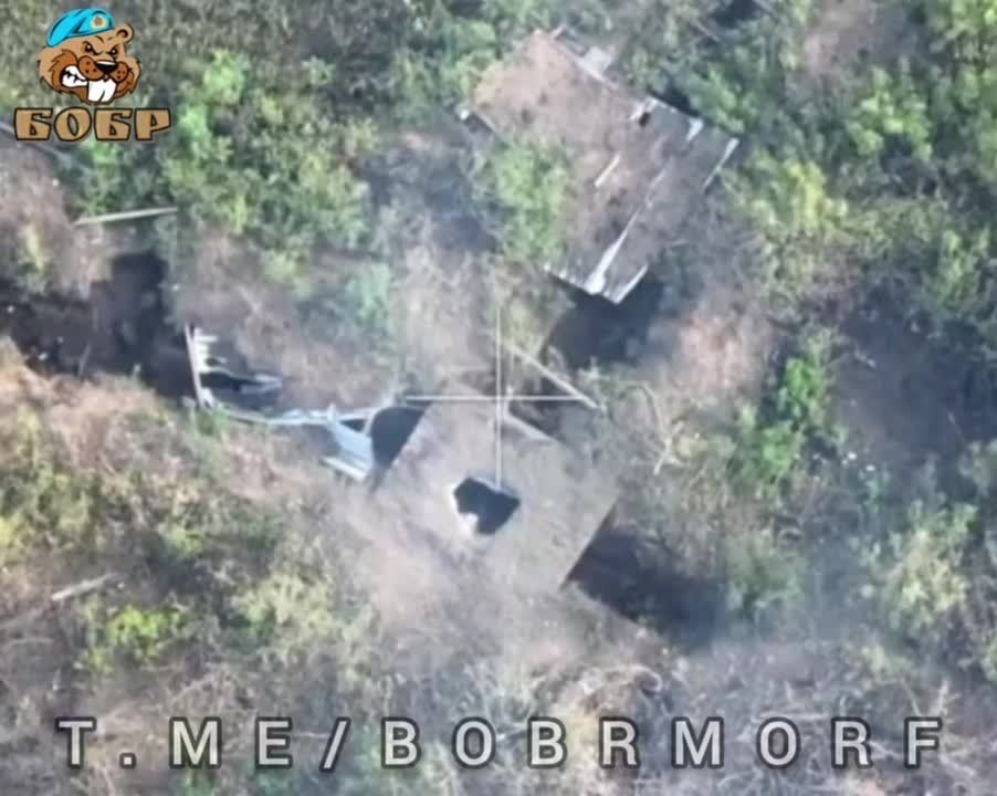 �������� ������ ����������� ���������� �� ������ ����