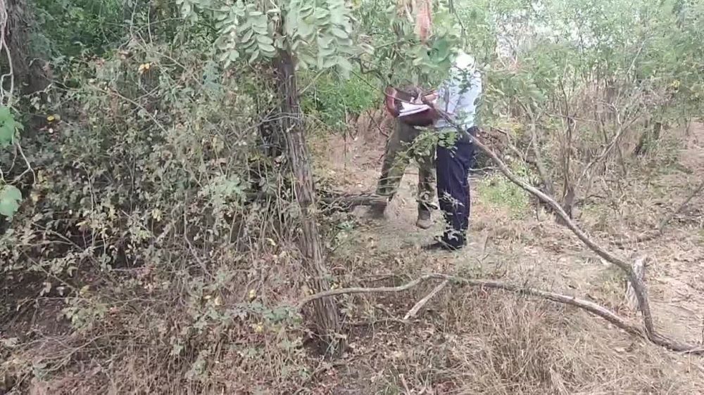 � ����������� ������� ������� � ���������� ����� ���� � ���������, ������ � ������������