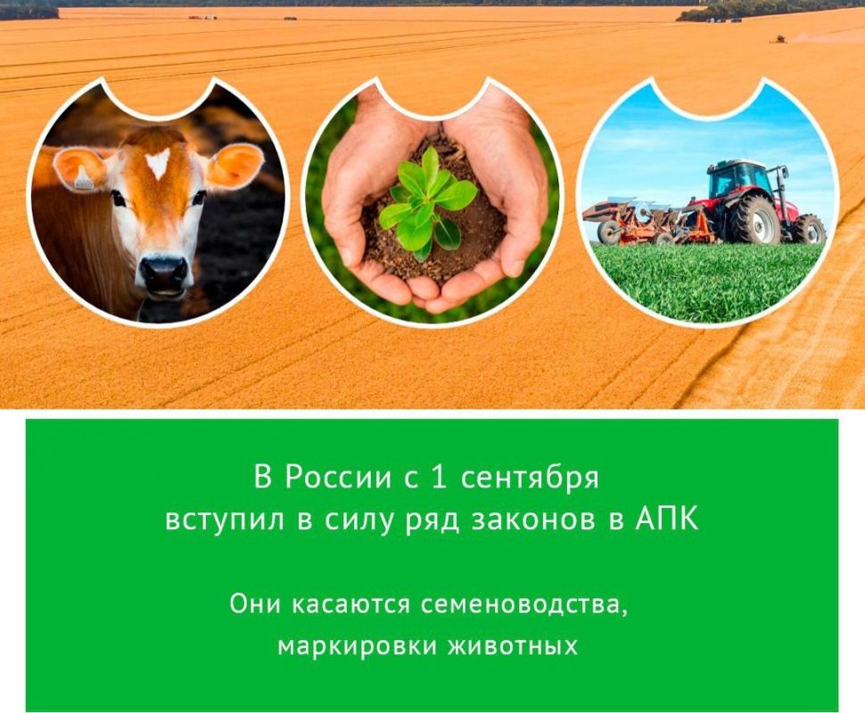 � ������ � 1 �������� ������� � ���� ��� ������� � ���