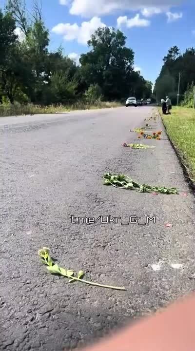 ��������� ��������, ������������ ����������� ��� "������� ����� ���", ����������� � ���� ��������� ����..