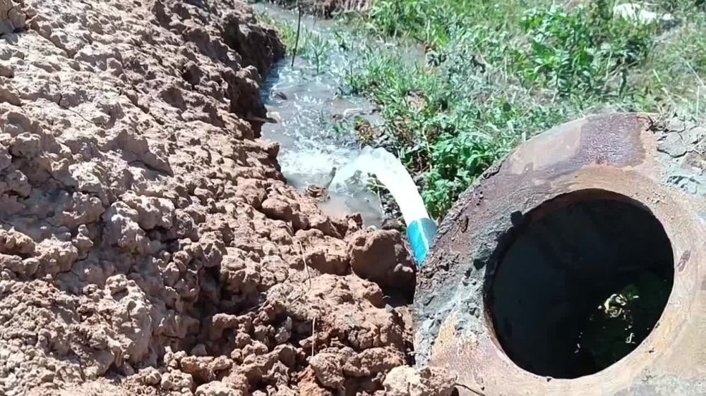 ��� ���� �������� ����������� ������ ������ ���-������� ����������� ������� �������������, ��������� � ������ � ������ ����