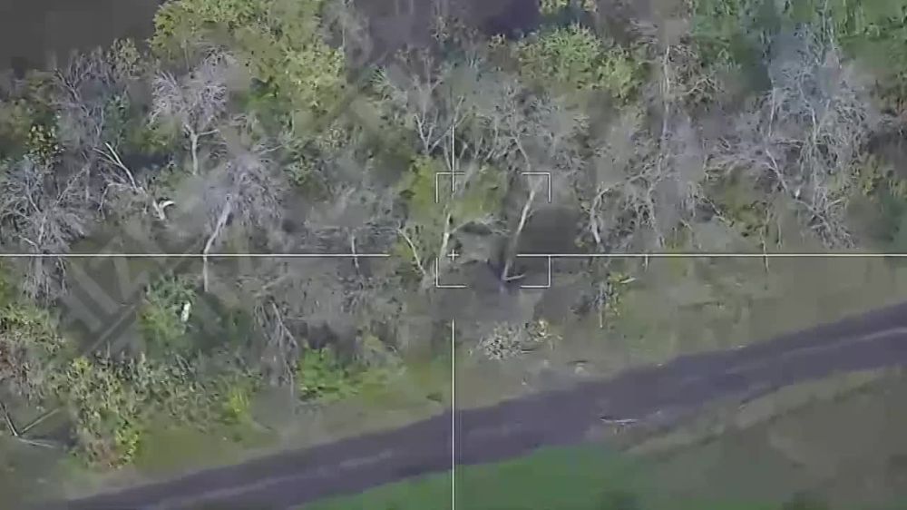 Евгений Лисицын: Российские Ланцеты работают по укрофашистам не только на Запорожском, но и на Купянском направлении