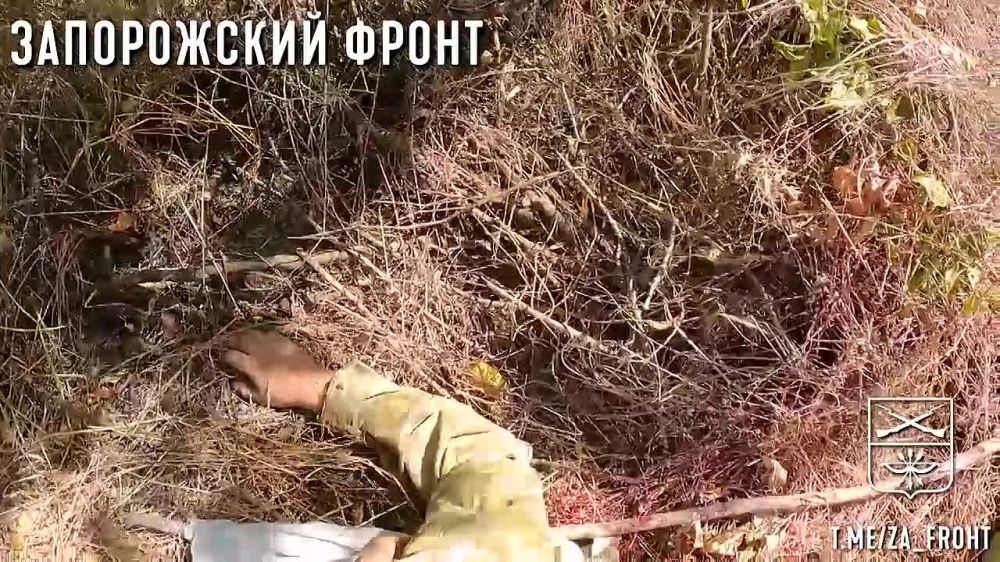 ���������� 42 ��� ���������� ��������� ���� ����������� �������, �������������� ������ �����������