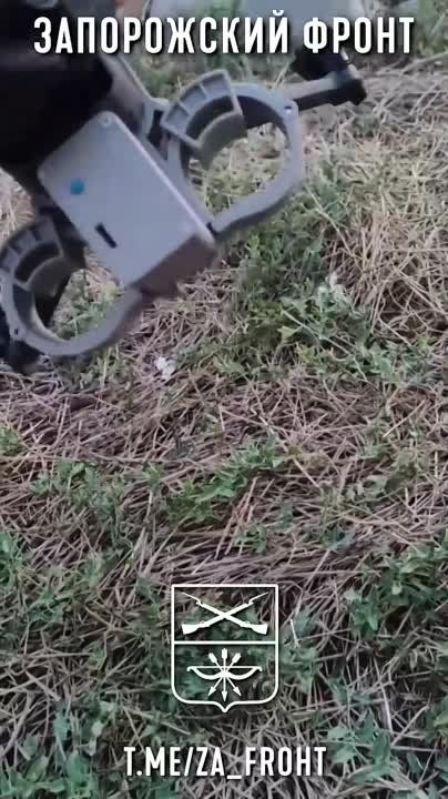 ��������������� 503 ����� ��� ������� ��������� ������ ���, ������� ������ ����� �������������� ������ �������