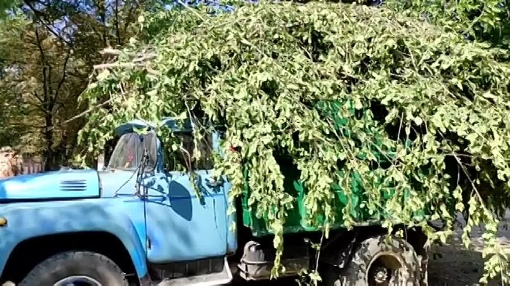 �� ���������� ����������������� ������� ������ ���������� �������������� �������� ������� ��������� ��������