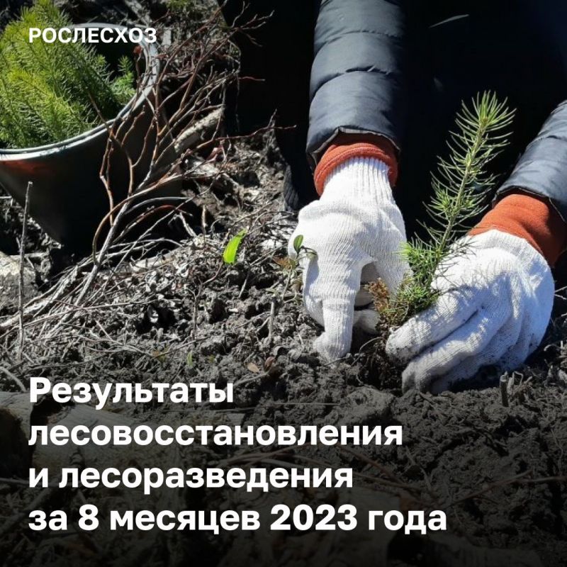 � ������ ���� ������������������ ��������� �� 523,7 ���. ��, �������������� �� 2,9 ���. ��