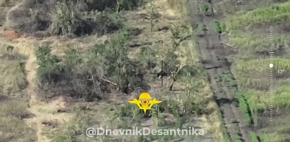 Евгений Лисицын: Наши бойцы из 7-ой десантной дивизии ВС РФ выявили укронацистов, которые пытались окопаться на Запорожском фронте