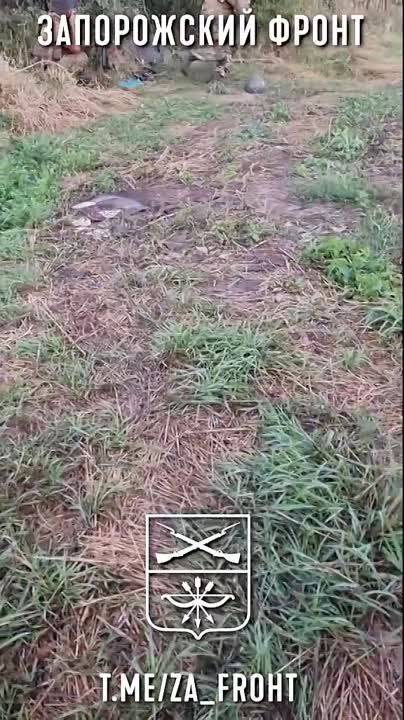 ��������� ���������� ���� ���������� ������������ ��������� ��� �� ����� �� ����������� � ���� ���