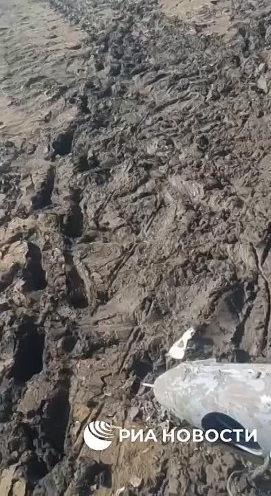 ����� �����: ����� ����������� ���������������� ������ "����-10" ����� �� ���� �������� � ������� ����������...