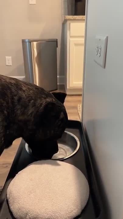 ��� ��������� �������� ������������� ����� ������ � ���������� ��� ������������ ������ � ������� �������-��������������