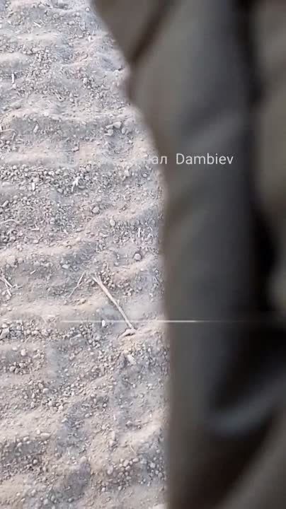 ������ �������: �������-���������� ������ ���������� ������ ��� ��������� ������� ���������� �� ����������� �����������