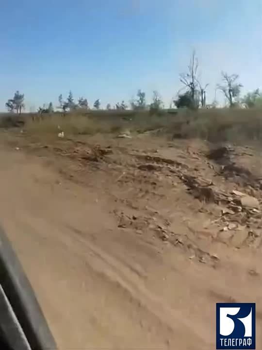 ������������������ ����������� ������� ������������ ���