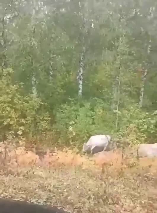 ������� � ����� ����:. ���������� ������ � ��������� ������������� ��������� ������������� �� ������� � ��������� �� ����������� � ����������� ���������������� ������� ��-�� ����� ����������� ������������