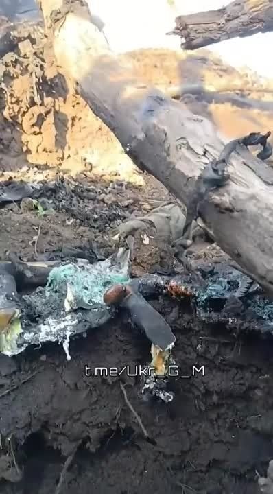 ������� ���������� ��������� ������� ��������� ����������� ������� �� ��� �������