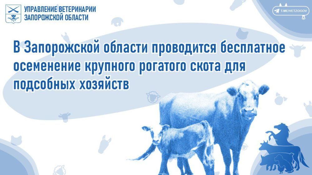 � ����������� ������� ���������� ���������� ���������� �������� �������� ����� ��� ��������� ��������