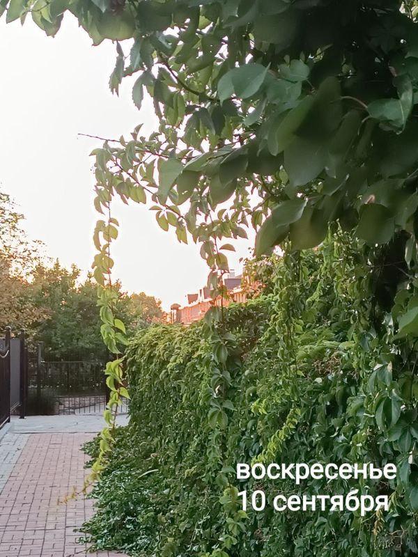 ������� �����������, � ������, ���� ��������� ��� ���� � ������ � ��� ������� ���������!