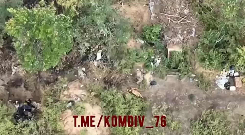 ����� �������� ����� ������ ��� �� ����������� �����������