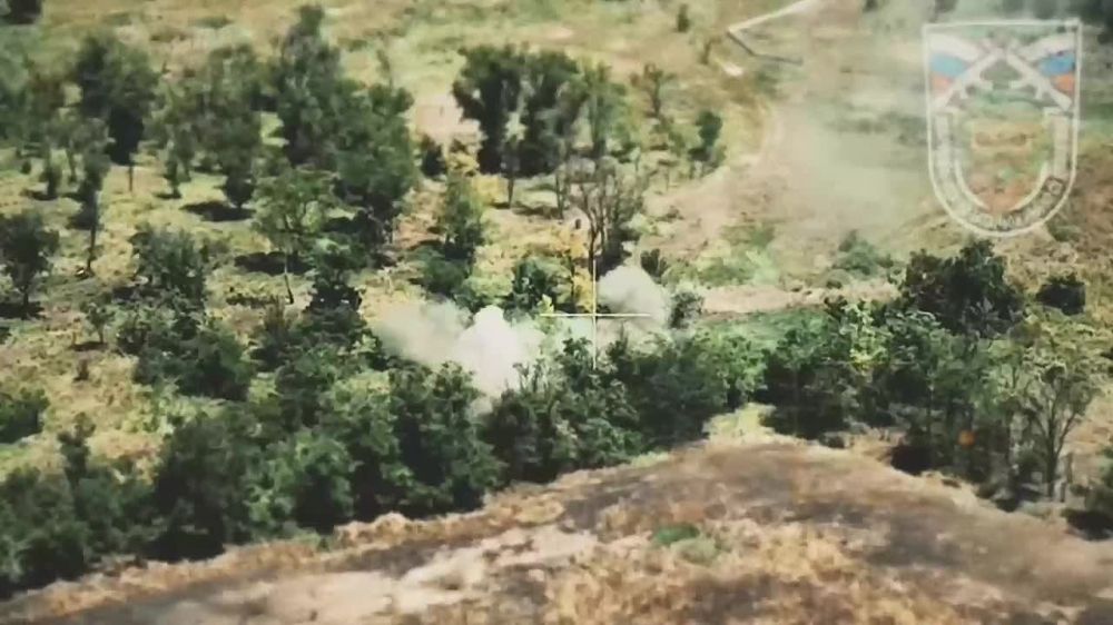 ������� �������: ������������ - ���������, �������������� � ������ �����