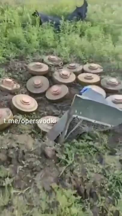 ������� ����������� ������������