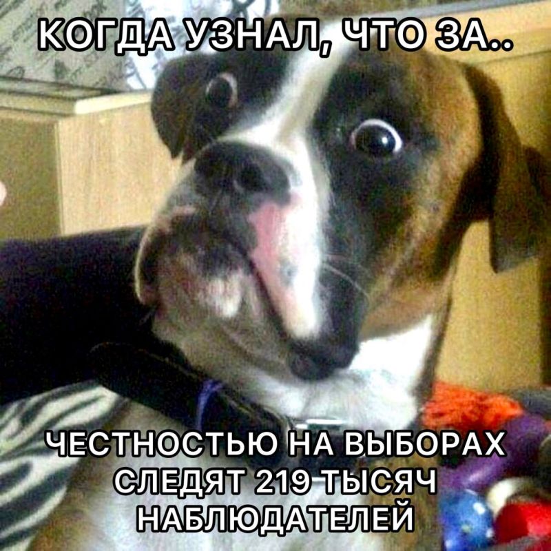 ��� ������, ��� 3 ������ �������� ��������