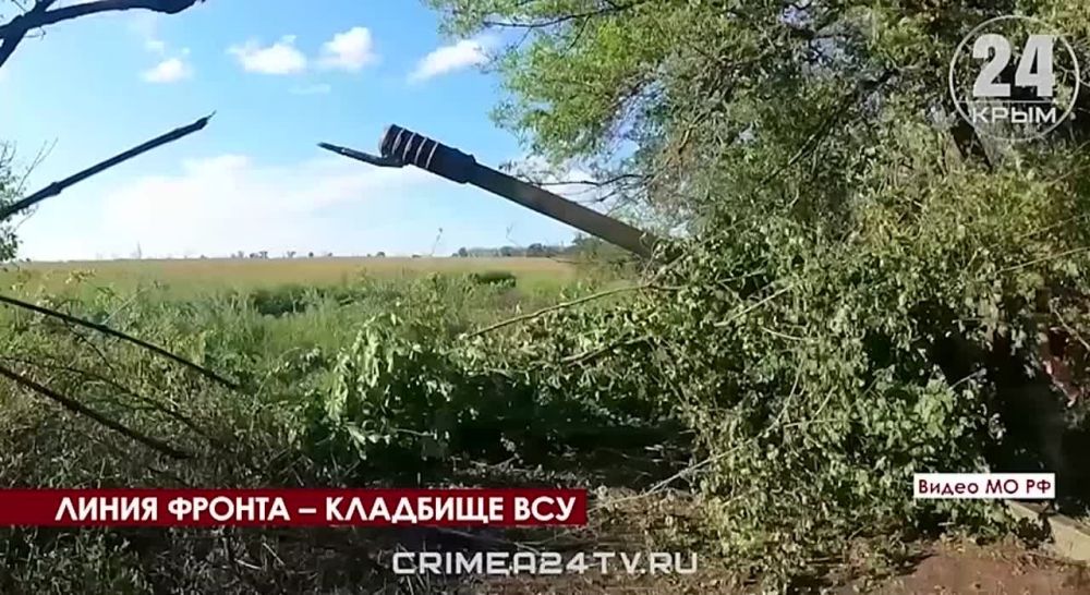 ���������� �� ������ �������� ������: ��� � ���� ��� �������� ������� ������� ��