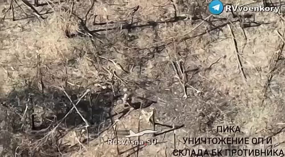 ��� � �������� � ���������: ������ ���������� �������� ��� �� ����������� �����������
