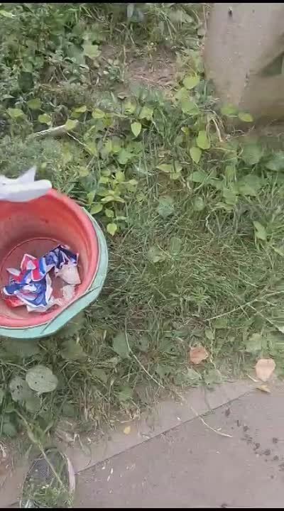 ������ 10 ��������. � ����� ����� ������� � ������� � ���������� � �����, ���� �������� ������� �� ���