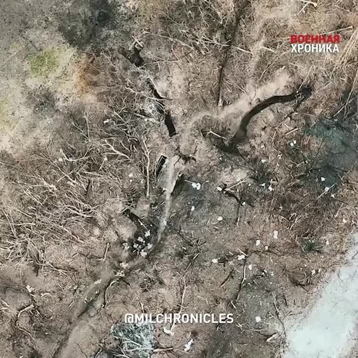 ����� �����: ��� ����������� � ��������� ������ � ���������: ������ ������� �������