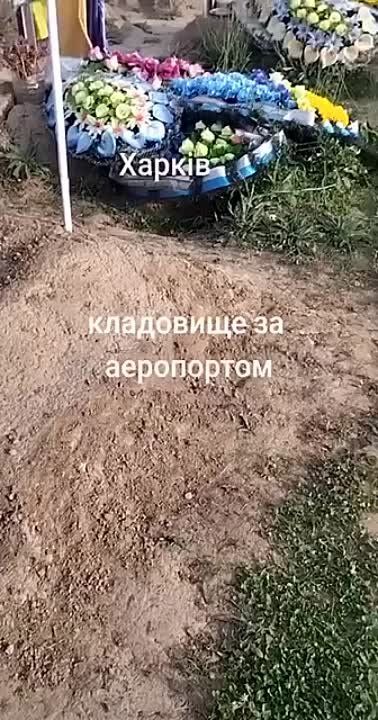 ���� �� ����������� �������
