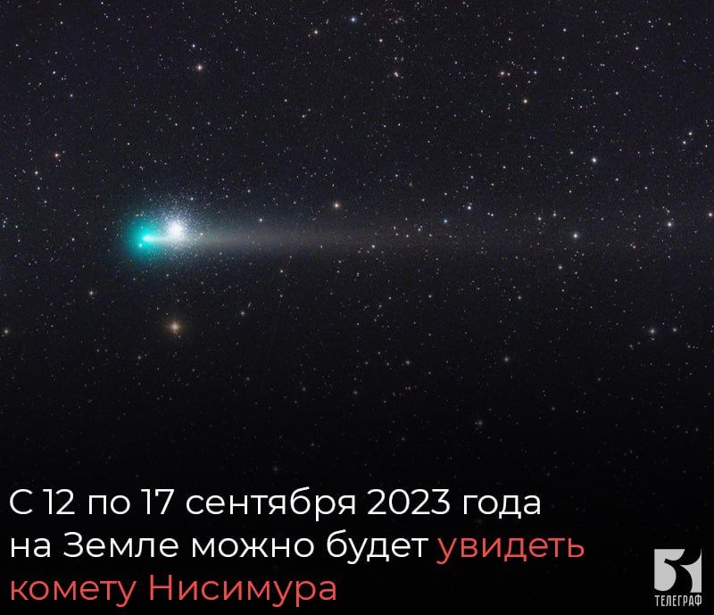 � 12 �� 17 �������� 2023 ���� �� ����� ����� ����� ������� ������ ��������