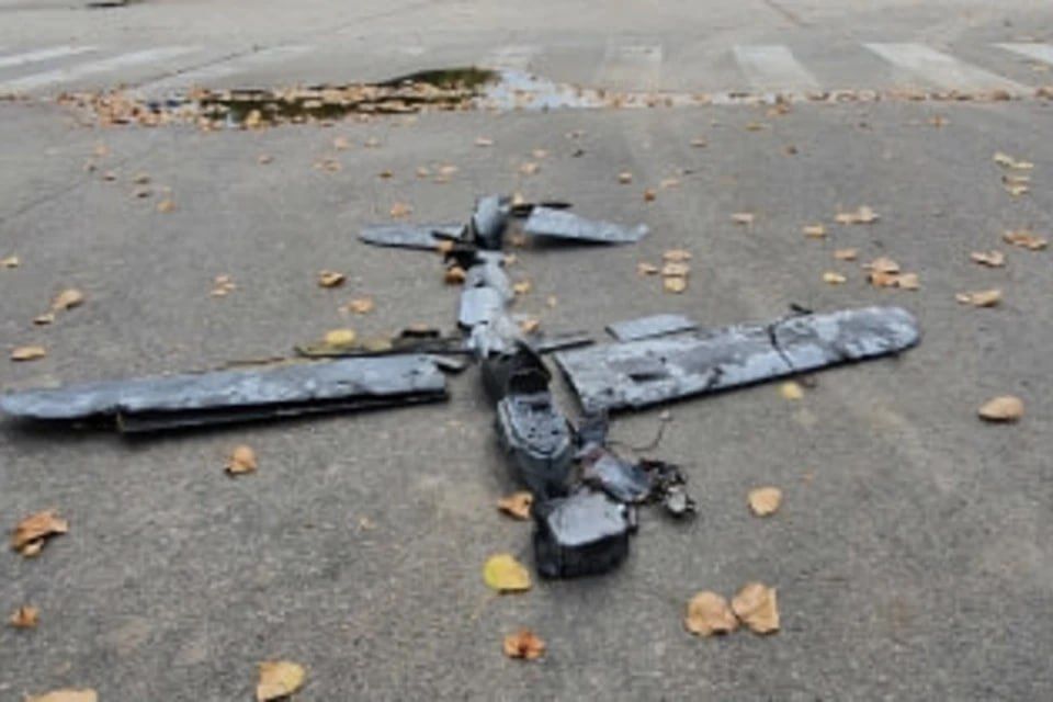 �� �������� �������� ����� ����� �� ������������� ������� � ����������� �������