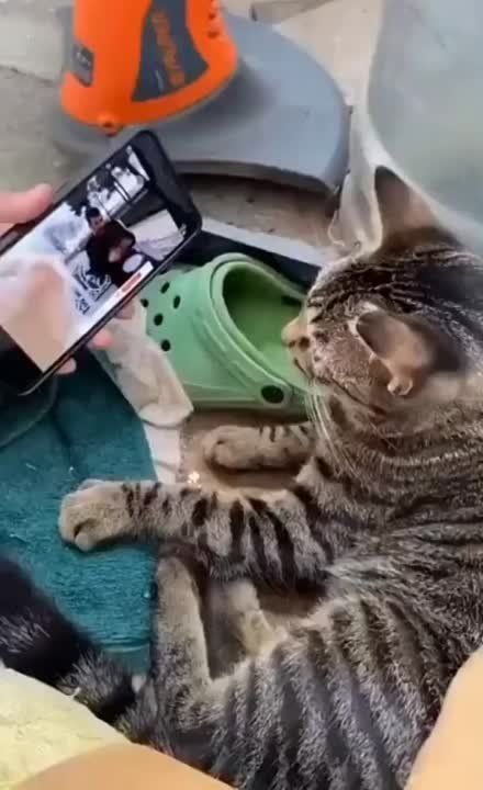 ������, ���� ������� �������!