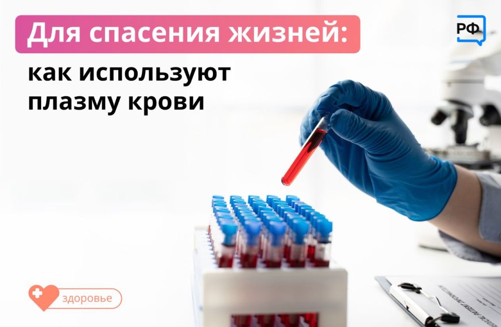 ������ ������: ������ ����� ���� �������?