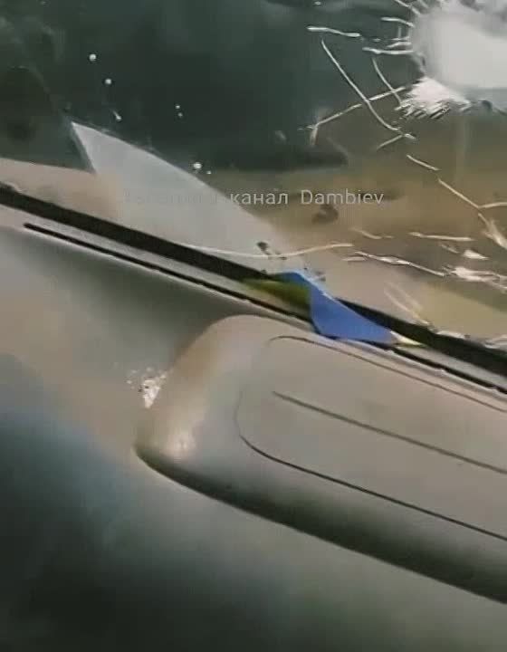 ������ ����������� ����������������