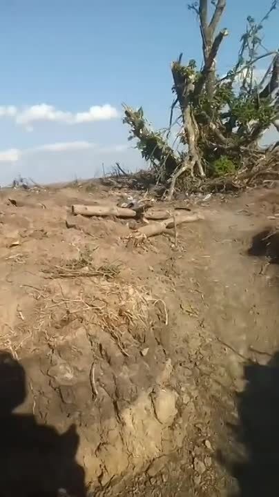 ������ ��������: � ������ ����� - ������������ FV103 Spartan - ���������� ���������������� ���������� �����, ���������� ���, ��������� � ������ �� ��������, ����������� �������