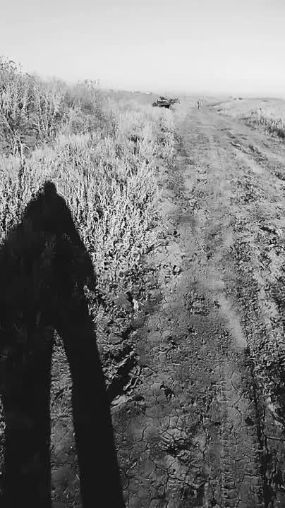 ������ �������: ������ ����������� ����������������