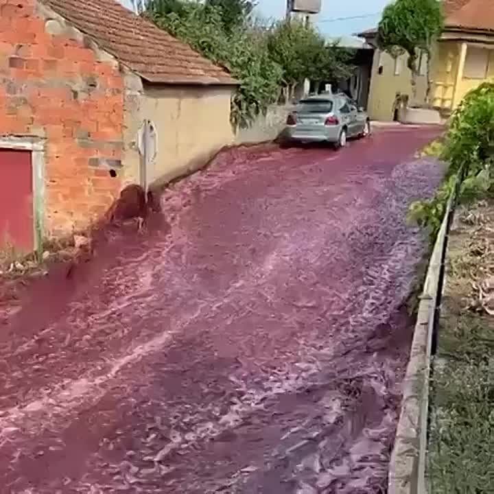 ���� ���� ������ �� ������ ���������� � ��� �� ��� ������� ������� �������, � ����������� ������ �� ����������
