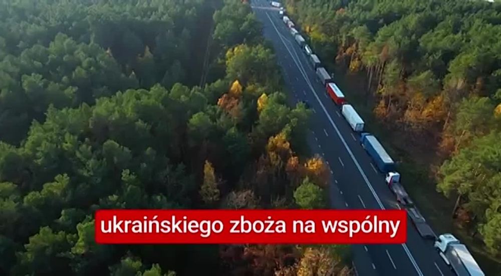 #�����_��������. ������� ������ ���������� �������� ����������� ������������ �����, � ������� �������� �����������, ��� ��...