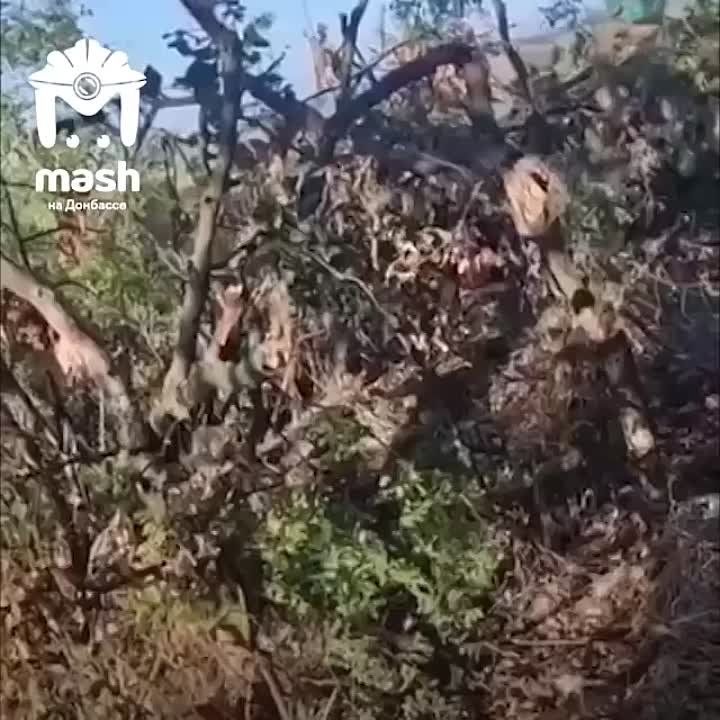 ���������� ������ ����� � ���������������� �� �������������� ����� ����������� ������� ��� ������