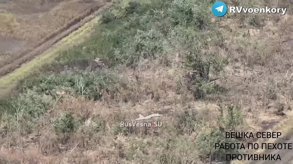 ��� � �������� � ���������: ��� ������ ����������� � ���������� �������� ���