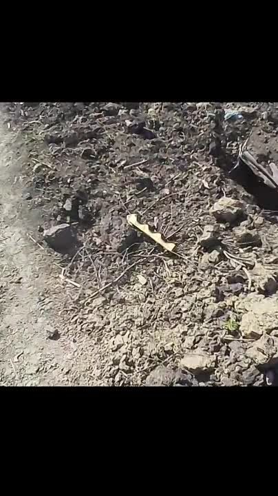 ������ �������: ������� ��� ��������� � ������ �.�. �������� �� ����������� �����������